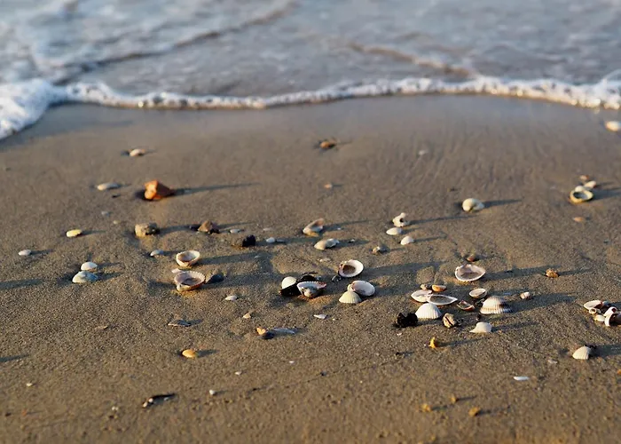 Modern With Stunning Seaview Terrace Бібіоне